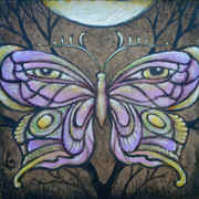 Moth  AVAILABLE